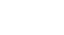 Filled In Goose Logo